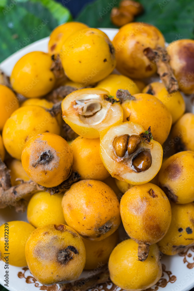 Fresh ripe mushmula or loquat fruit. Good for breakfast and desserts. Evergreen subtropical tree orange sweet and juicy fruit widely spread in Georgia, Japan, Korea, Spain and other asian countries.