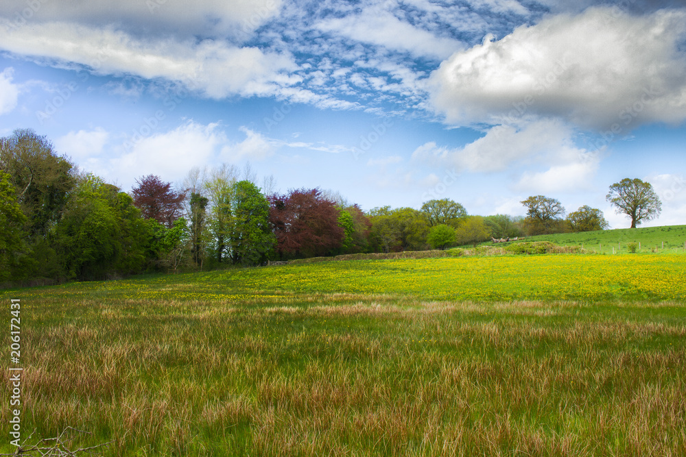 Crom Castle Estate Medow