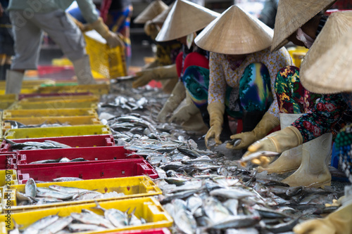 Valokuvatapetti Caught fishes sorting to baskets by Vietnamese women workers in Tac Cau fishing