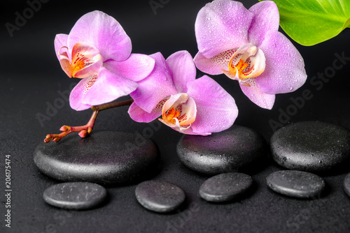 spa setting of zen massaging stones with drops  lilac orchid