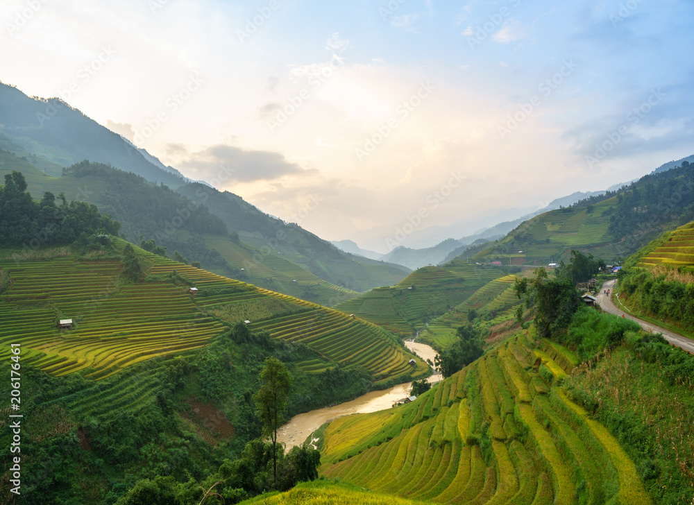 Rice fields on terraced of Mu Cang Chai, YenBai, Rice fields prepare the harvest at Northwest Vietnam. Vietnam landscapes.