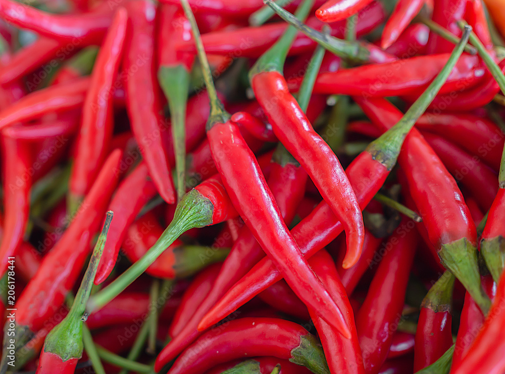 Chilli Chilli