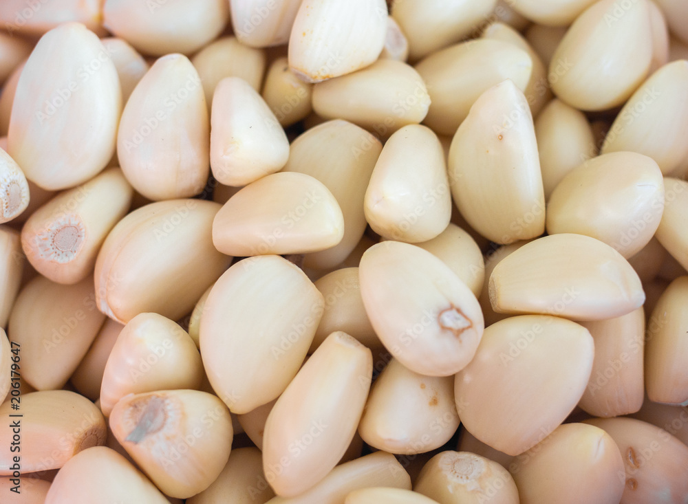 Garlic Garlic