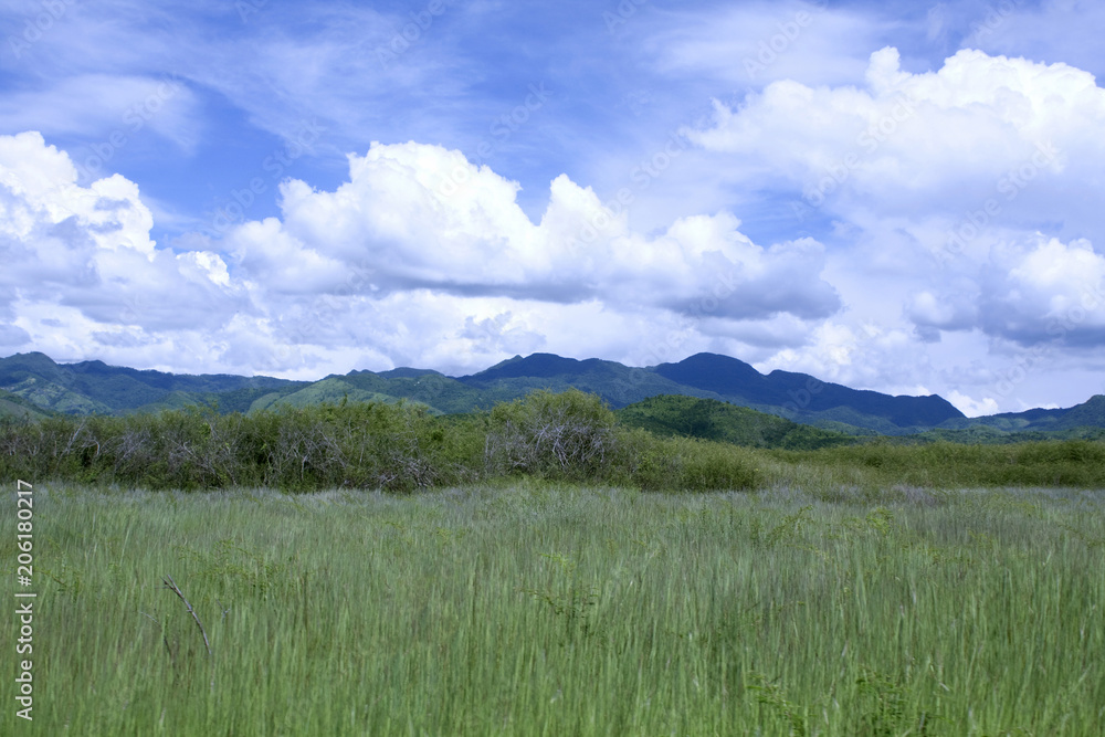 Field and hills in Cuban countryside Field and hills in Cuban countryside