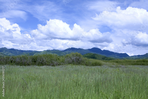 Field and hills in Cuban countryside
