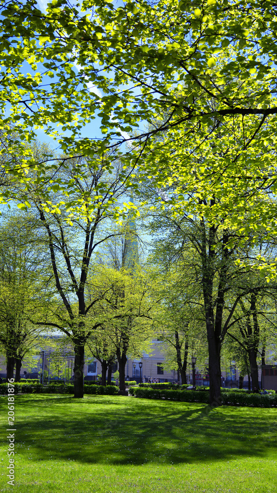 City green park in Riga in the spring