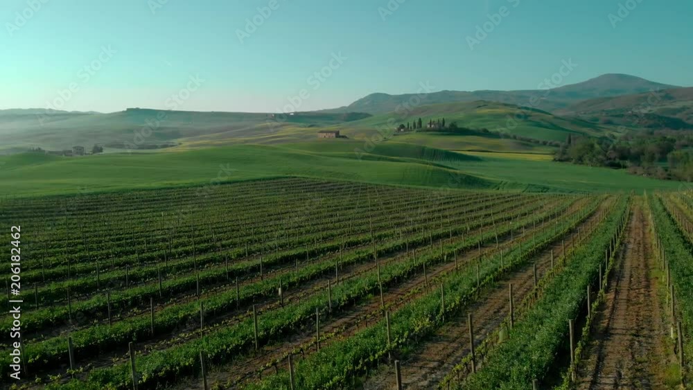 Aerial flying over an vineyard in Tuscany to lonely villa Aerial flying over an vineyard in Tuscany to lonely villa