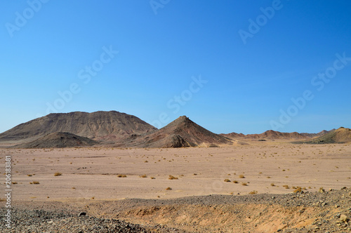 mountain desert desert, sandstone mountains, plain covered with rare desert vegetation, against a cloudless blue sky, Southern Sinai, Egypt
