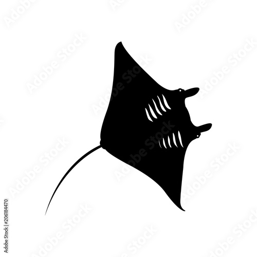 Icono plano silueta manta raya en color negro photo
