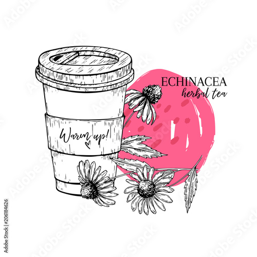 Hand drawn echinacea herbal tea to go. Tea cup, purpurea flower. Vectror engraved art. Healing warm tea in paper cup. Food ingredient, aromatherapy, cooking. For restaurant menu, treating, healt care.