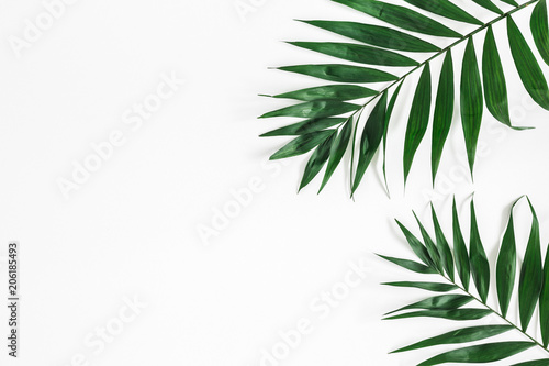 Tropical palm leaves on white background. Summer concept. Flat lay  top view  copy space