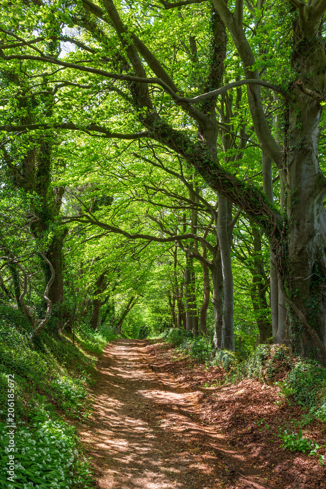 The Fosse Way, an old Roman road in Bath, UK