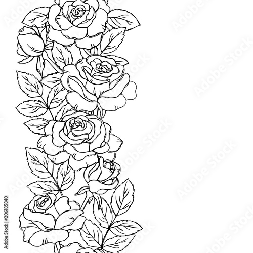 vector contour rose flowers bud leaf branch coloring book seamless repeating vertical pattern elements border frame