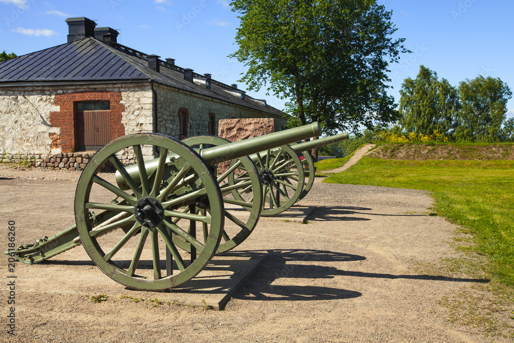 Old cannons of the First World War