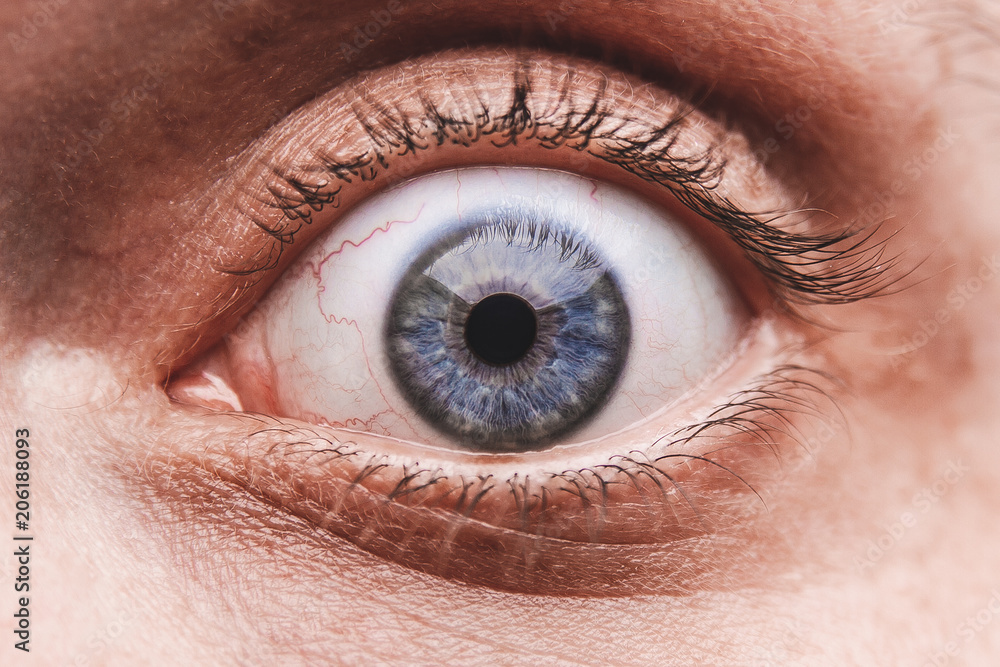 Naklejka premium funny eyes close-up