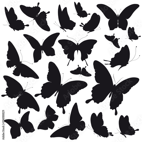 beautiful color butterflies,set, isolated  on a white © aboard