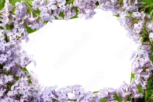 Fototapeta Naklejka Na Ścianę i Meble -  Border of lilac flowers. Bouquet of purple flowers is isolated on white background. View from above, flat lay concept.
