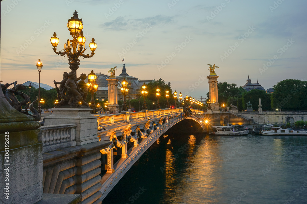 Fototapeta premium Paris