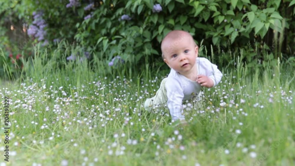 Cute toddler boy, sitting on the grass, daisies around him, shot from above Cute toddler boy, sitting on the grass, daisies around him, shot from above