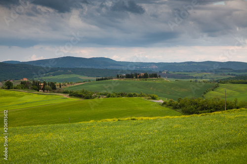 beautiful green summer landscape in Tuscany, Italy