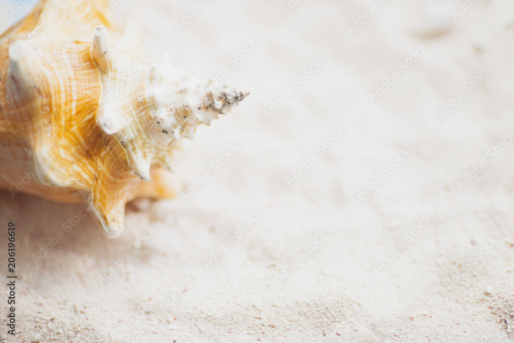 Traveler accessories on the yellow background with fruits, sunglasses, postcard, sand and seashells. Travel, planning or vacation concept. Flat lay, top view. Summer background