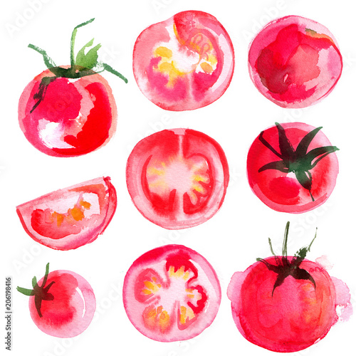 Fototapeta Naklejka Na Ścianę i Meble -  Set tomatoes drawn Mr. Abel background