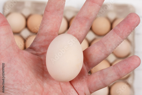 raw egg in the male palms on the background of a carton of eggs closeup