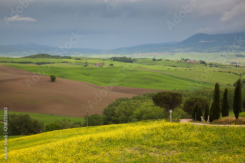 beautiful green summer landscape in Tuscany, Italy © Melinda Nagy