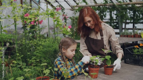 Young florist and her child are hoing soil in pot with green plants using gardening tools and having conversation. Family, growing flowers and parenting concept. photo