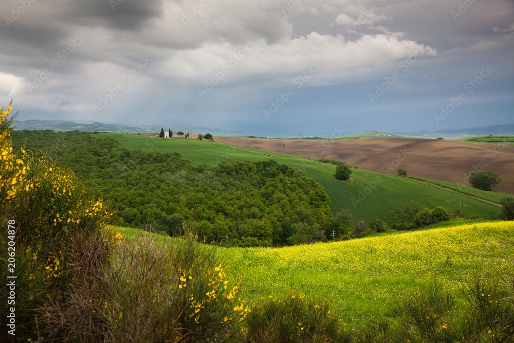 beautiful green summer landscape in Tuscany, Italy