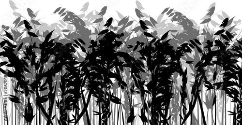 grey and black color oats silhouettes on white