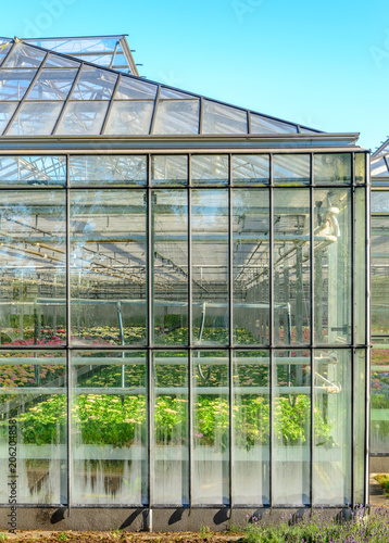 Side view of a greenhouse in The Netherlands growing vegetables and bulbs