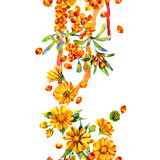 Medicinal, garden calendula. Aromatic, wholesome sea buckthorn. Juicy, tasty, orange berry. Sunny, beautiful flower. Watercolor. Illustration
