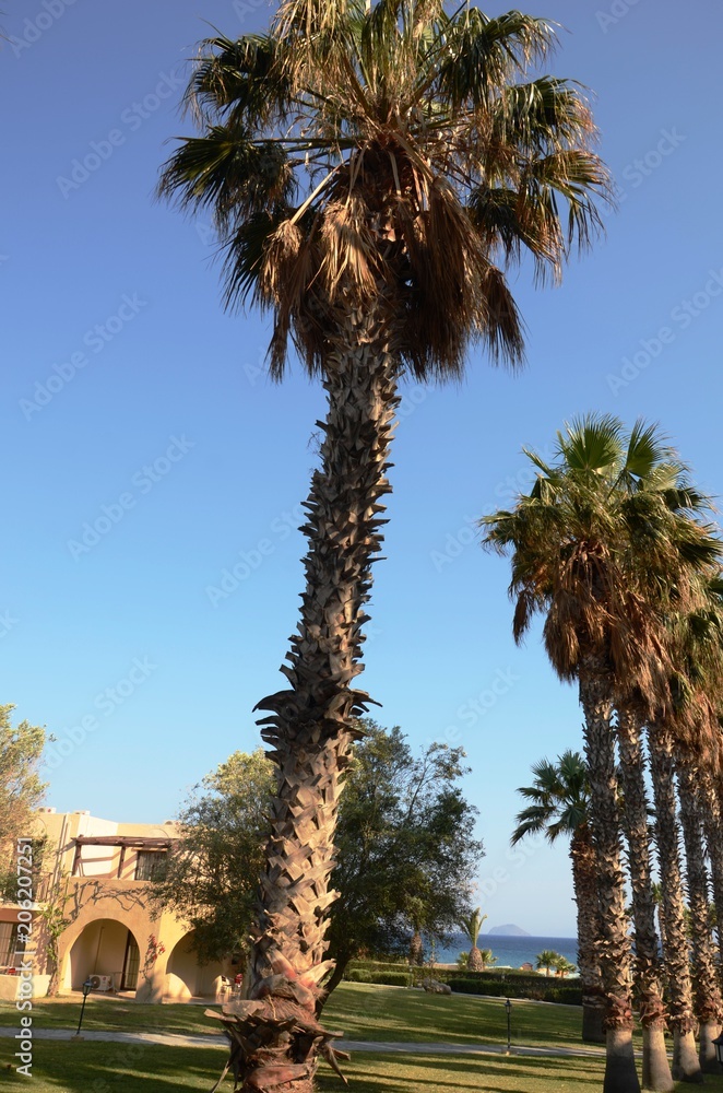 Plage de Kardamena (Kos-Grèce)
