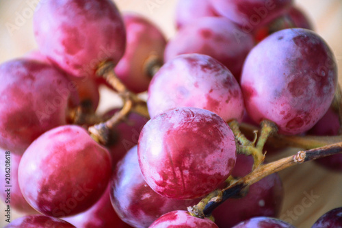 Ecologic Organic Grapes
