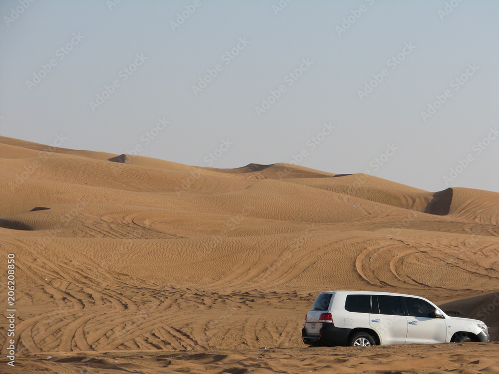 Desert Tour - Dubai - United Arab Emirates