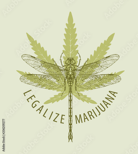 Vector banner for legalize marijuana with cannabis leaf and dragonfly. Natural product of organic hemp. Smoke weed. Medical cannabis logo