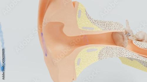 Sound waves affect the hearing membrane.