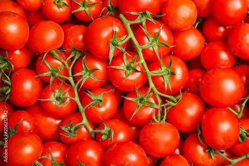 Many fresh ripe tomatoes as background  top view