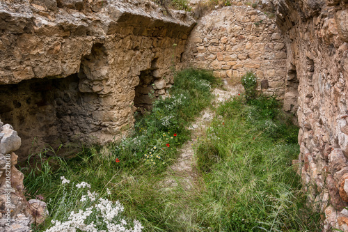 Architecture and nature in Kritinia castle on Rhodes island, Greece