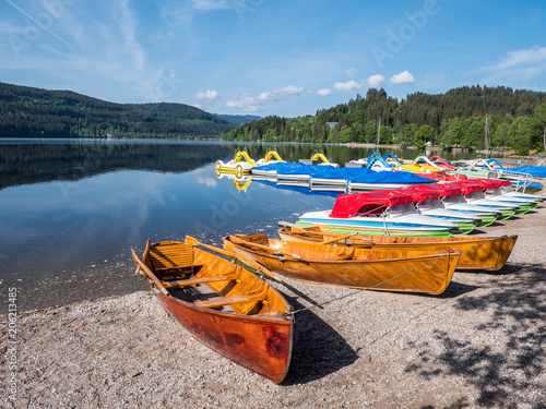 Am Titisee im Schwarzwald