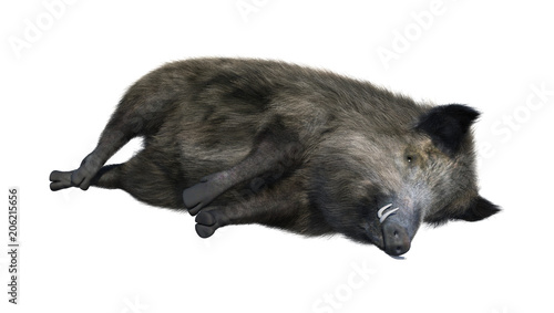 3D Rendering Wild Boar on White