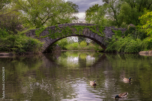 A bridge over a lake with ducks swimming