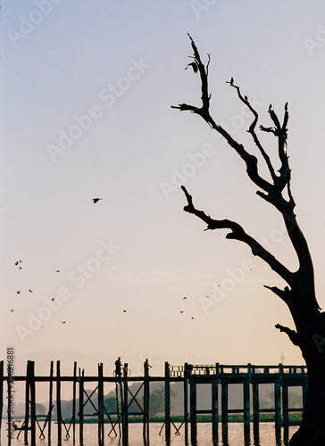 vietnam landscape and life