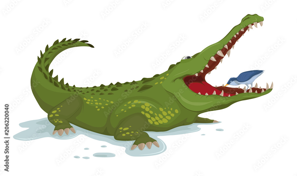 Fototapeta premium Crocodile and a bird Vector. Cartoon character illustrations