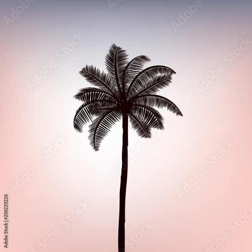Tropical summer paradise background palm tree leaves at sunset gradient