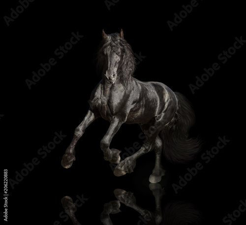 Big black Friesian horse runs isolated on the black background