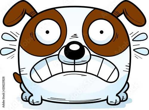 Terrified Little Dog