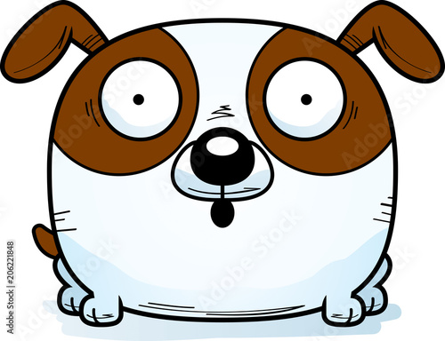 Surprised Little Dog