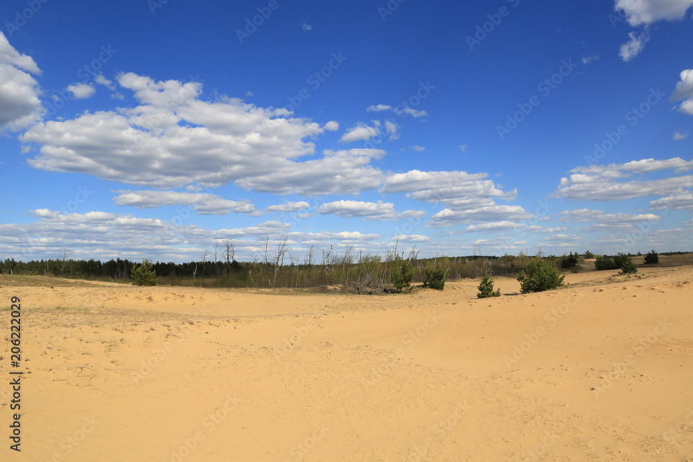 sandy desert landscape